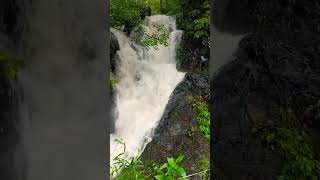 goa mollem water fall trendingshorts trending viral shorts [upl. by Pat]