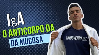 Imunoglobulina do tipo A  IgA imunidade de mucosa imunologia [upl. by Ubana]