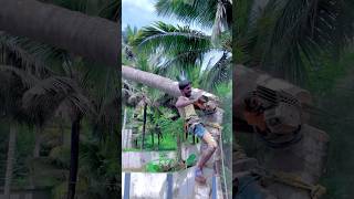 Tree cutter Suyambu Tamilnadu tree cutter [upl. by Reis]