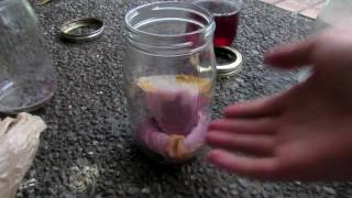 How to Make Cobalt II Chloride [upl. by Halvaard]