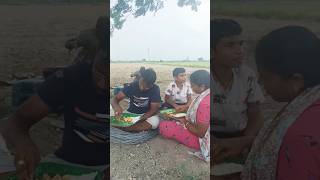 agriculture farming farmer paddycultivation village shorts telugushorts subscribe paddy [upl. by Adi]