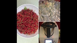 Vom Strauch ins Glas  Johannisbeermarmelade  Thermomix [upl. by Ahsaercal]