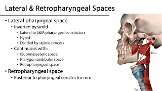 Retropharyngeal Space Anatomy and Applied Anatomy [upl. by Dulcy]