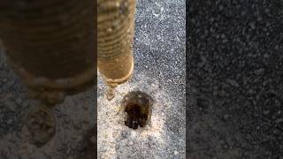 Pothole Poof Slurry Sucks Pipe Exposed 👀🕳⚠️🚧 [upl. by Sucam]