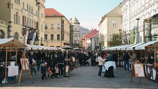 Dobrodošlo vino Celje 2024 [upl. by Acireh]