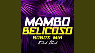 MAMBO BELICOSO GOGOS MIX [upl. by Lewert]