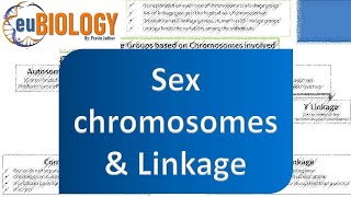 Sex chromosomes amp Sex Linkage [upl. by Arraeic]