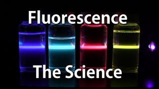 How Fluorescence Works  The Science [upl. by Armand]