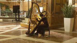 Ян Сибелиус  Ель  Мария Кулакова арфа Jean Sibelius  Le sapin The spruce harp [upl. by Winchester]