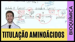 Titulação de Aminoácidos  BIOQUÍMICA FÁCIL [upl. by Mochun]