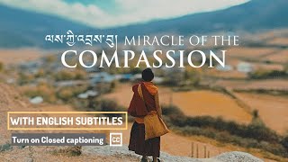 MIRACLE OF THE COMPASSION 4K [upl. by Dettmer]