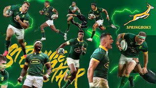 Amabokoboko  Sister Bokkina  Springboks Theme Song🥇🏆 [upl. by Adnertal196]