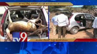 Deer Hunting  Police shields TS Minister son   TV9 [upl. by Frankie]