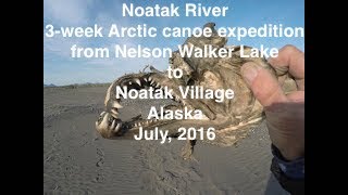 Noatak River Expedition  Alaska July 2016 [upl. by Earlie216]