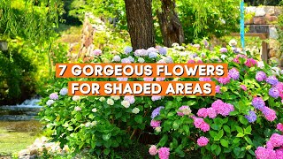 7 Gorgeous Flowers for Shaded Areas 🌼✨  Shade Loving Summer Plants ☀️ [upl. by Anauqahc46]