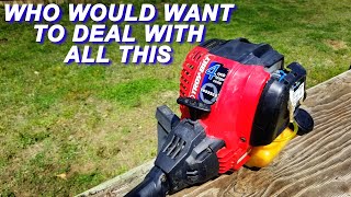 Would You Want To Do All This Maintenance On A TroyBilt Trimmer [upl. by Westbrook]