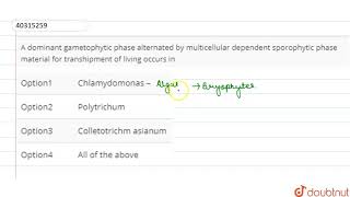 A dominant gametophytic phase alternated by multicellular dependent sporophytic phase material for [upl. by Ainnek]