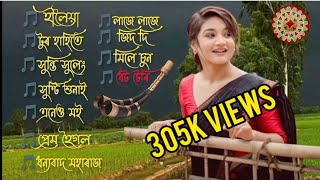 Assamese New hit songs 2023 collections top 11 best songs [upl. by Groeg]