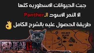 شرح الحصول على النمر الاسطوري panther quotGiaguaroquot ريد ديد ريدمبشن 2 [upl. by Yeliw]