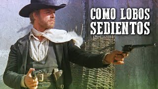 Como Lobos Sedientos  Western Pelicula completa en español  Vaqueros [upl. by Atthia]