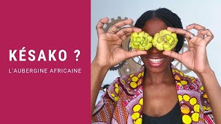 COMMENT CUISINER LAUBERGINE AFRICAINE [upl. by Wernsman]