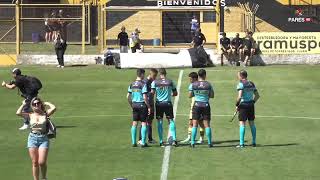 Flandria vs Sportivo Italiano  EN VIVO  Fecha 19  Clausura 2024 [upl. by Andonis]