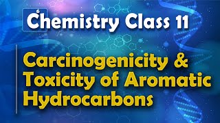 Carcinogenicity and Toxicity of Aromatic Hydrocarbons  Aromatic Compounds  Chemistry Class 11 [upl. by Hephzipa320]