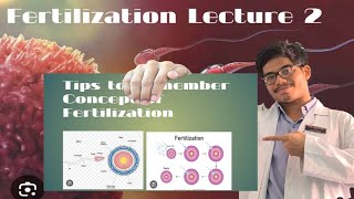 Fertilization  Steps of Fertilization  Results of Fertilization [upl. by Fira]