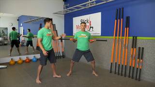 Stick Mobility  Back Exercise  1 Short [upl. by Eenahs]