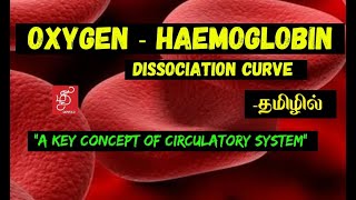 OXYGEN HAEMOGLOBIN DISSOCIATION CURVE  HAEMOGLOBIN SATURATION CURVE  IN TAMIL [upl. by Demott]