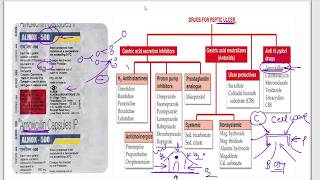 Amoxicillin  Azithromycin  Ciprofloxacin  Cefpodoxime  Moxifloxacin  Cotrimazole  Mechanism [upl. by Oht945]