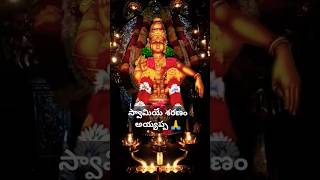 🙏ayyappa 🙏sancharivolga ayyappaswamysongs ayyappastatus vashivolga [upl. by Ttej645]