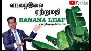 BANANA LEAF EXPORT வாழை இலை ஏற்றுமதி  குறைந்த முதலீட்டில் ஏற்றுமதி GALAXY SEA 9367423299 [upl. by Feucht499]