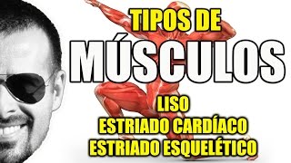 Tipos de Músculos Liso Estriado Cardíaco e Esquelético  Sistema Muscular  VideoAula 081 [upl. by Guenevere]