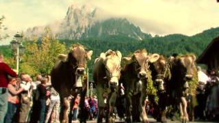 Gran Festa del Desmontegar  Primiero  Trentino [upl. by Lamak]