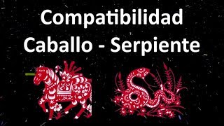 Compatibilidad Caballo  Serpiente Horóscopo Chino [upl. by Ahsienor387]