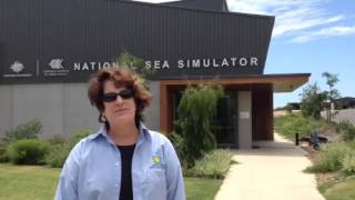 Saving Coral SCBIs Mary Hagedorn at Australias Sea Simulator [upl. by Juno352]