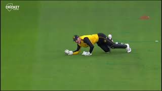 Cameron Bancroft takes a stunning catch to dismiss Marcus Harris and bowl by Lance Morris [upl. by Mcdade]