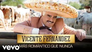 Vicente Fernández  Ojos Tristes Cover Audio [upl. by Inalial]