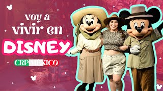 ME VOY A TRABAJAR A DISNEY  DISNEY CRP MEXICO  Itz About Disney [upl. by Dennet]