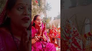 Tulsi rani ka vivah sab badhai gaon ri youtubeshorts tulsipuja devuthaniekadashipuja [upl. by Anirbak]