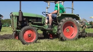 Holder B25 beim Pflügen  Traktor im Einsatz  Holdertreffen  Tractors Plowing  Schlepperherz [upl. by Llerdnod]