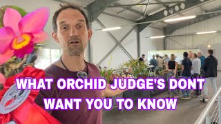 Orchid Competition Secrets the Experts Dont Want You to Know [upl. by Ramilahs]