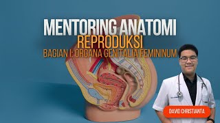 Mentoring Modul Reproduksi Anatomia Genitalia Femininum [upl. by Frankel]