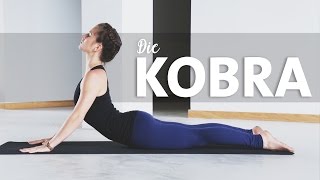 Die Kobra  Yoga Asana lernen für Anfänger  Bhujangasana [upl. by Ydnas]