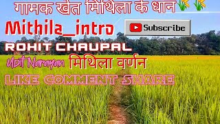 Hamar monak Gaam me video beautiful song udit Narayan mithila ke dhaan ke nazara aur Apan gaam🌾🌾 [upl. by Niveg]