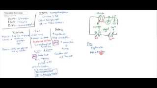 Pancreatic Hormones Insulin Glucagon Somatostatin [upl. by Kerns]