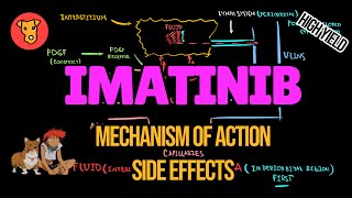 IMATINIB Gleevec Mechanism of action Side effectsPathogenesis of Periorbital edema Muscle Cramps [upl. by Otte]