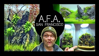 The First Aquascape Focused Store The USA Nano Tanks Aqua Forest Aquarium  San Francisco [upl. by Leann430]