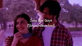 Jaan Ban GayeSlowed and ReverbedBeautiful songRomantic SongEhsaas Lofi [upl. by Laen]